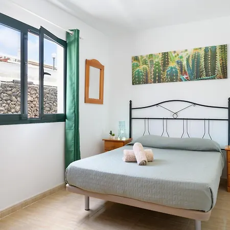 Bella Vista - Cactus *