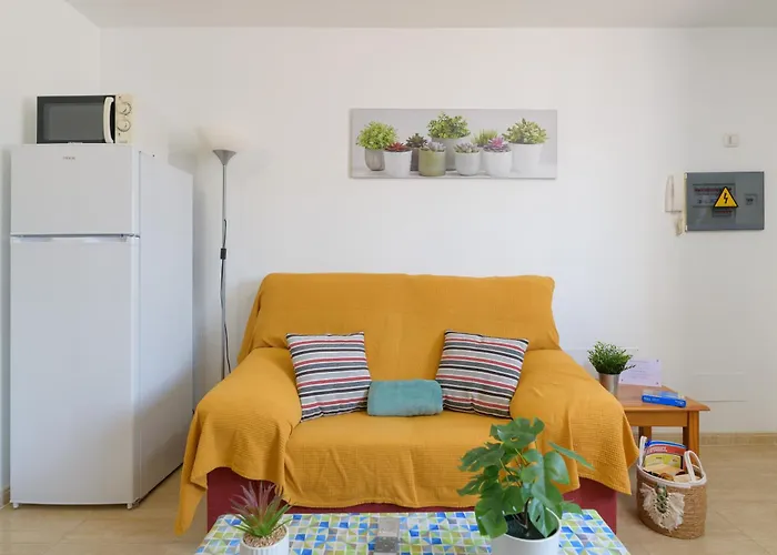 Bella Vista - Cactus * Пуэрто дель Кармен